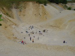 Fossiliensteinbruch Blumenberg