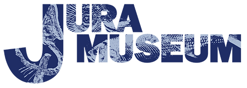 Jura Museum Eichstätt